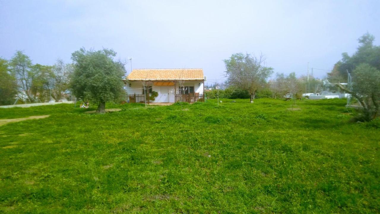 Casa De Campo Los Manueles Ideal Perros Pet Friendly Gojar Buitenkant foto