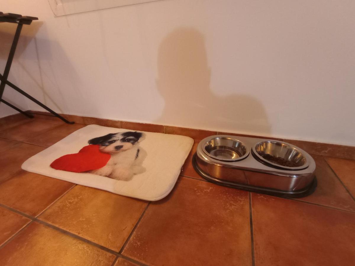 Casa De Campo Los Manueles Ideal Perros Pet Friendly Gojar Buitenkant foto