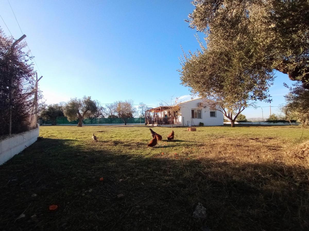 Casa De Campo Los Manueles Ideal Perros Pet Friendly Gojar Buitenkant foto