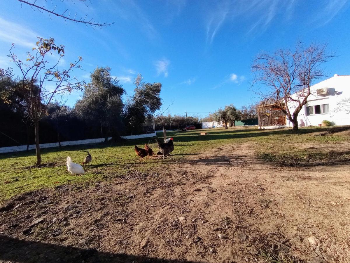 Casa De Campo Los Manueles Ideal Perros Pet Friendly Gojar Buitenkant foto