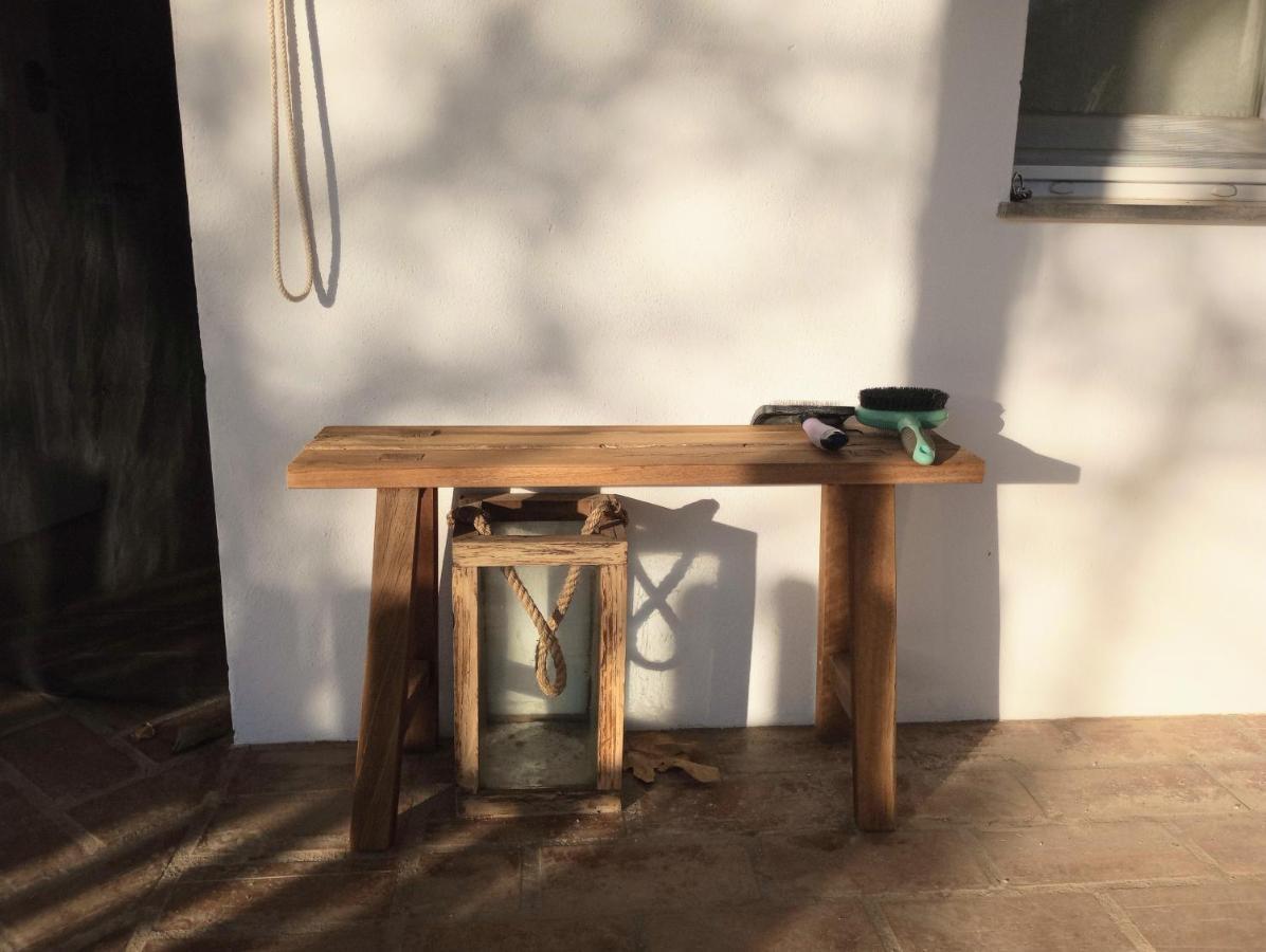Casa De Campo Los Manueles Ideal Perros Pet Friendly Gojar Buitenkant foto
