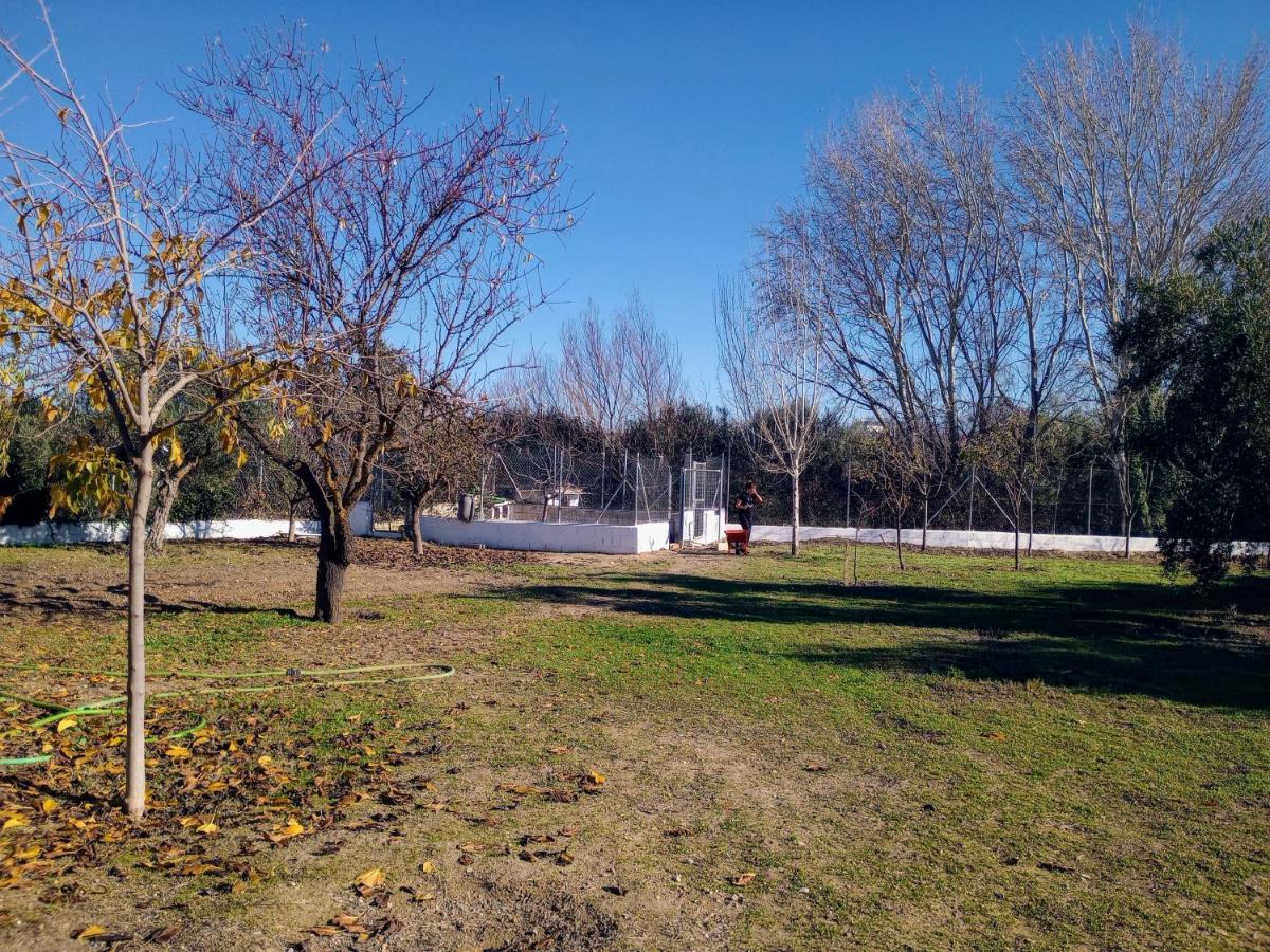 Casa De Campo Los Manueles Ideal Perros Pet Friendly Gojar Buitenkant foto