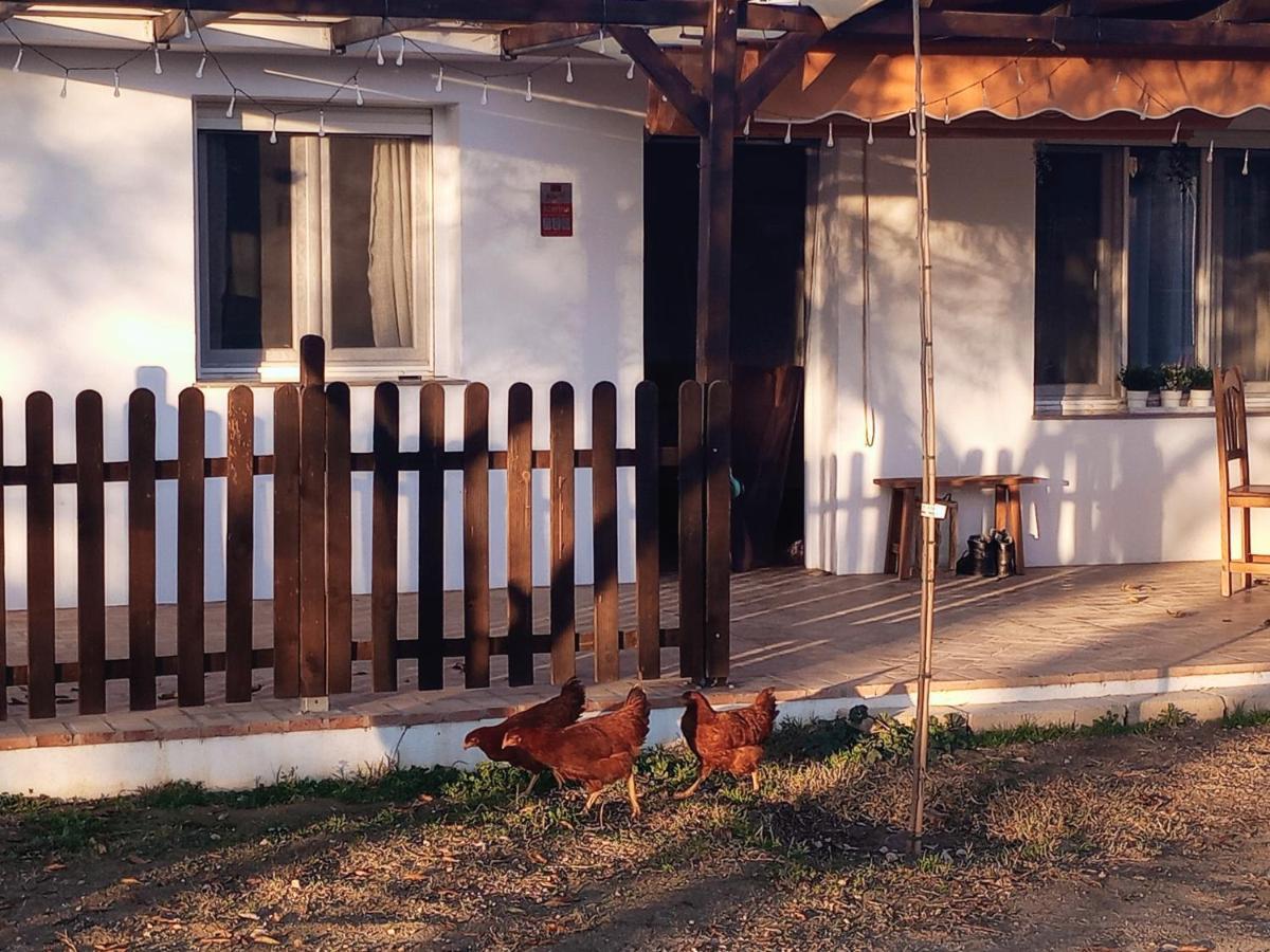 Casa De Campo Los Manueles Ideal Perros Pet Friendly Gojar Buitenkant foto