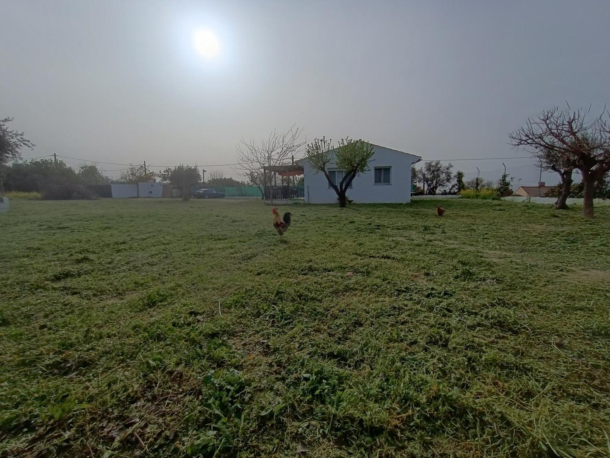 Casa De Campo Los Manueles Ideal Perros Pet Friendly Gojar Buitenkant foto