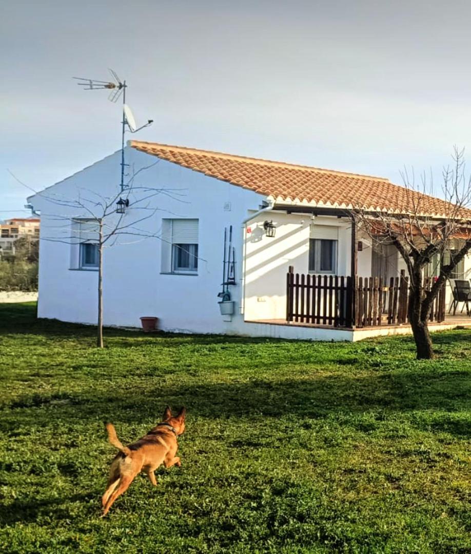 Casa De Campo Los Manueles Ideal Perros Pet Friendly Gojar Buitenkant foto