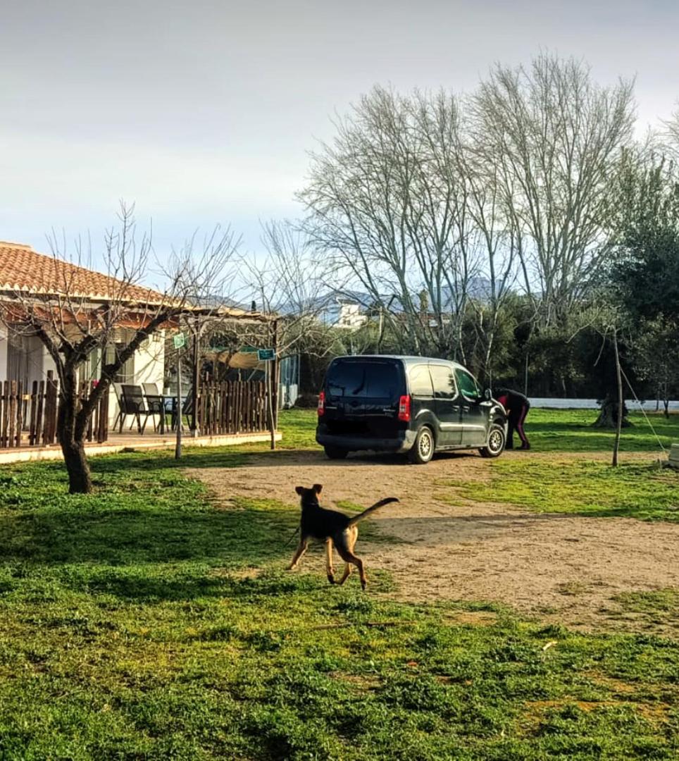 Casa De Campo Los Manueles Ideal Perros Pet Friendly Gojar Buitenkant foto