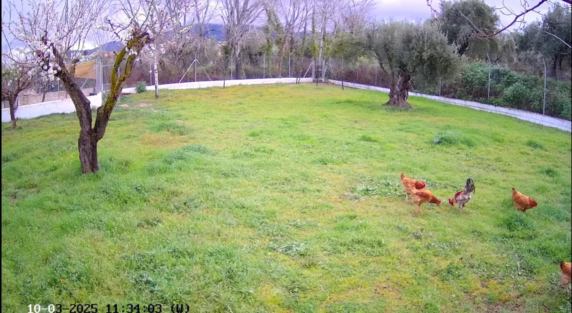 Casa De Campo Los Manueles Ideal Perros Pet Friendly Gojar Buitenkant foto